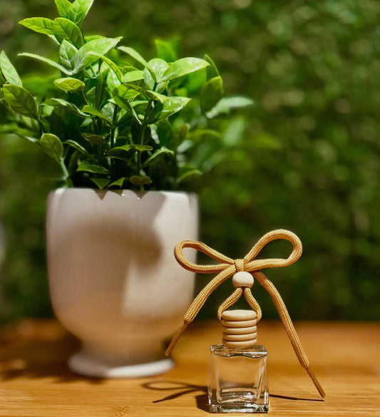 Car Diffuser | Grace