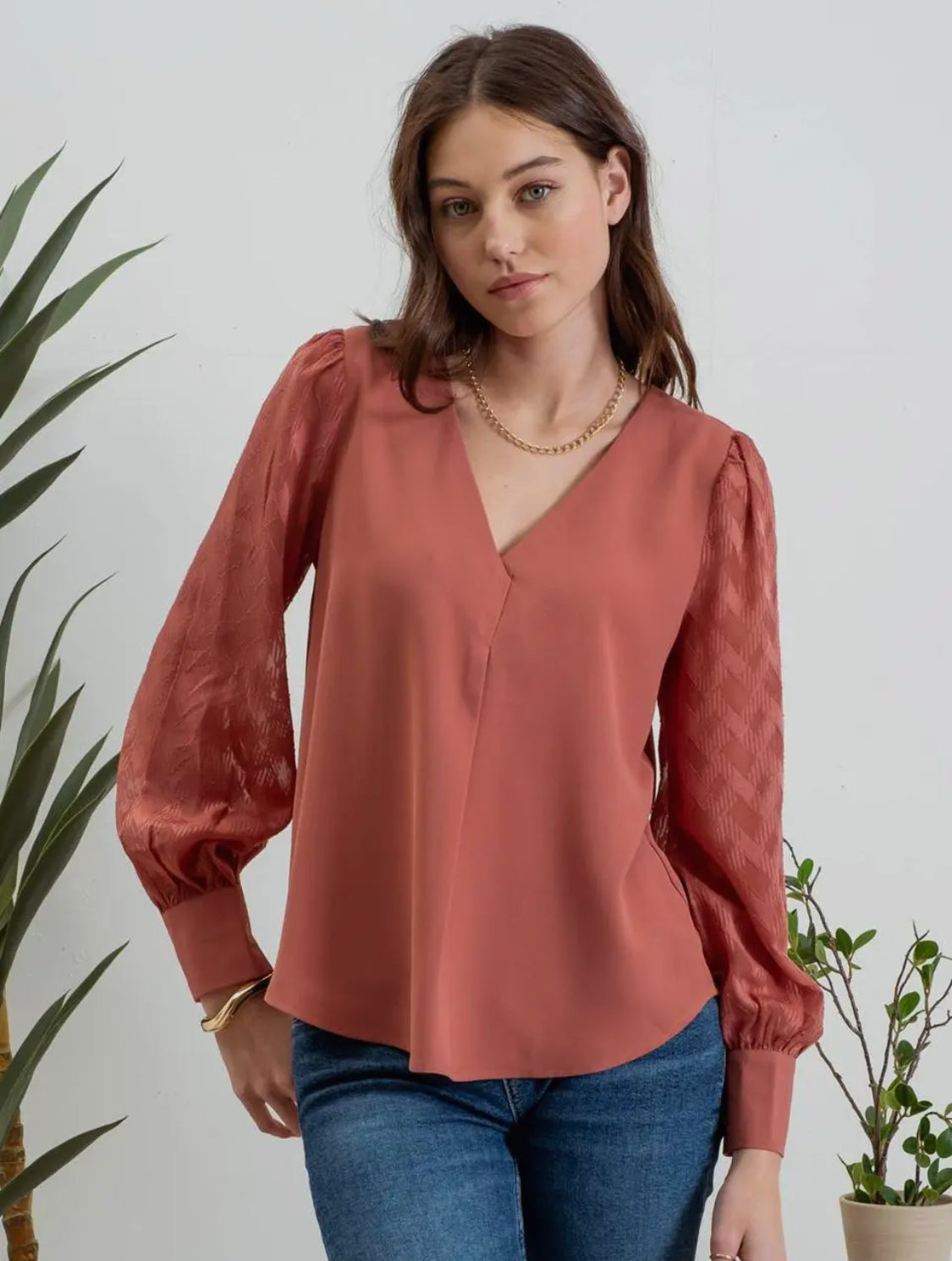 Aimee Sheer Sleeve Top